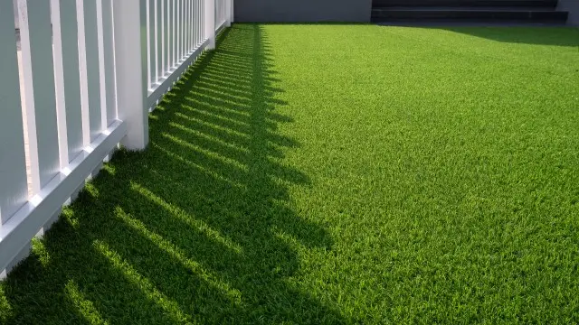 Turf-Installation--in-Mesa-Arizona-Turf-Installation-789392-image